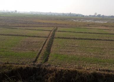 khet