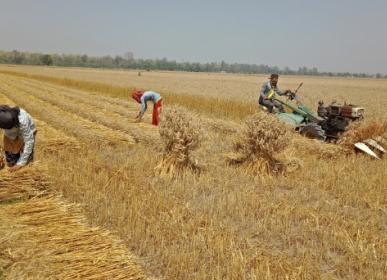 kisan