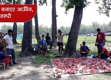 dhan ropai