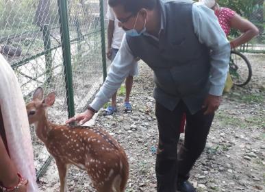 zoo