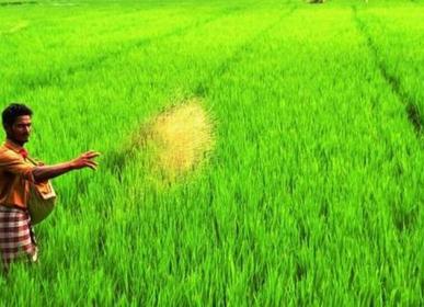 Agriculture