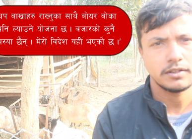 bakra
