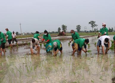 aa