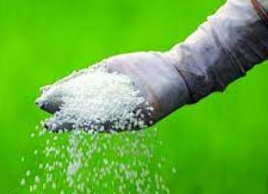 aa