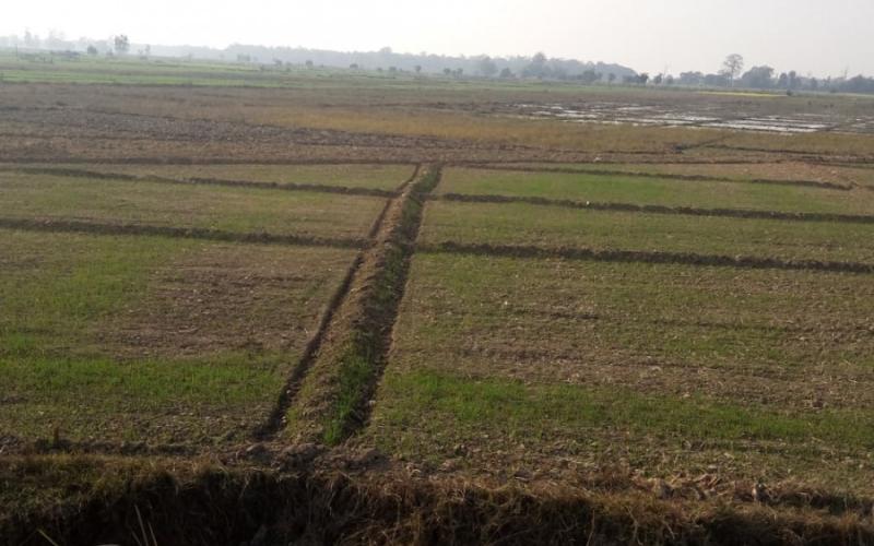 khet