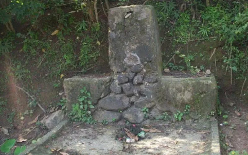 dhara