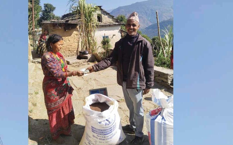 kodo news bajur
