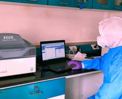 lab