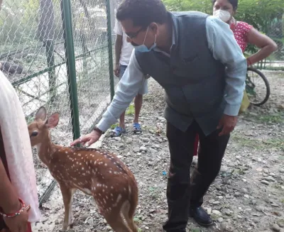 zoo
