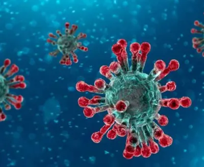 Corona