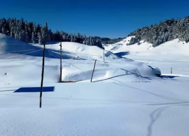 फाईल तस्वीर