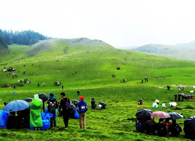 khaptad