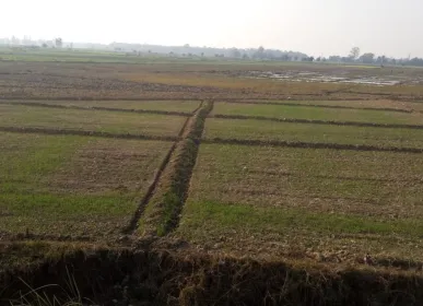 khet