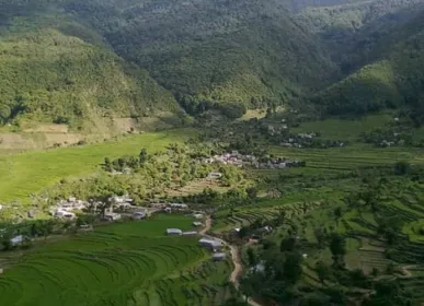 bali