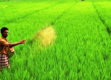 Agriculture