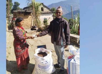 kodo news bajur 