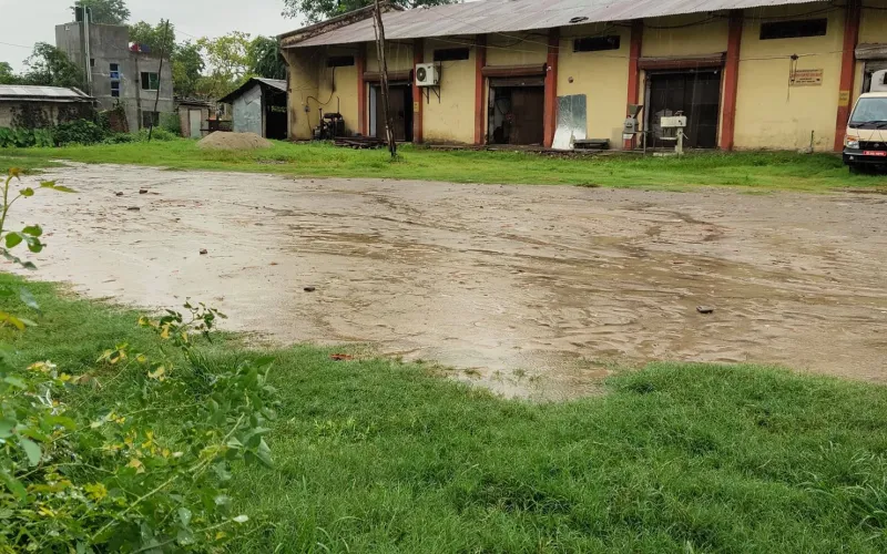 pani