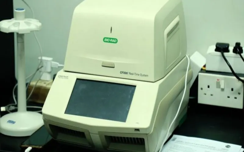 pcr