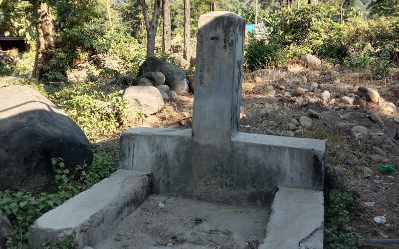 pani