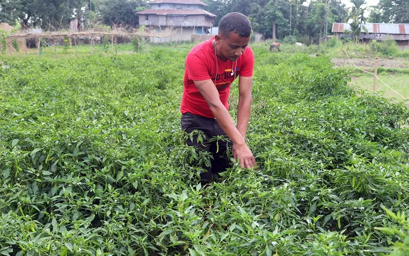 krishi