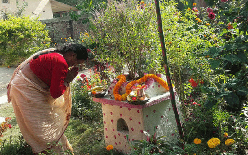 tulsi pooja