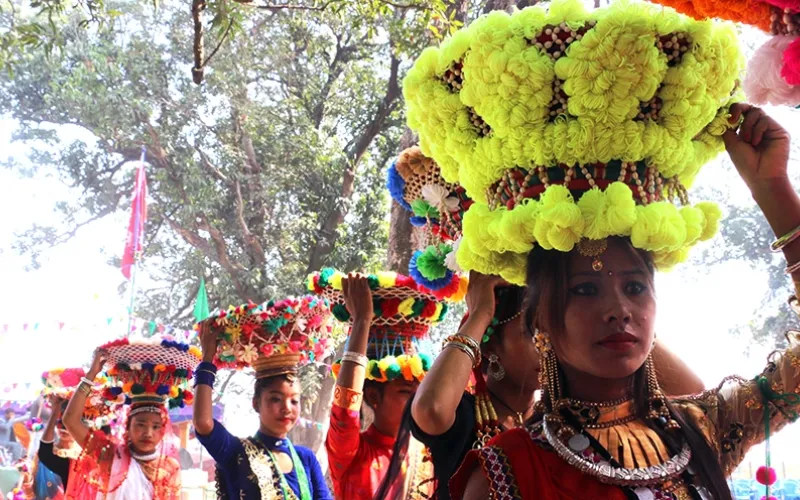 maghi