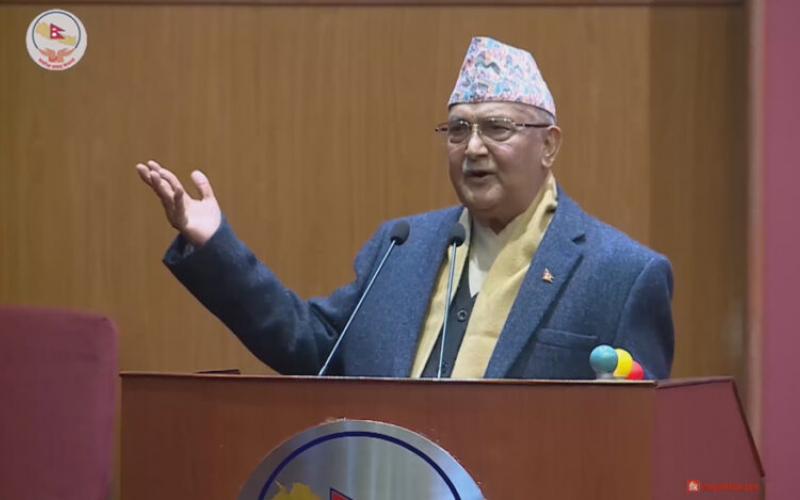 kp oli