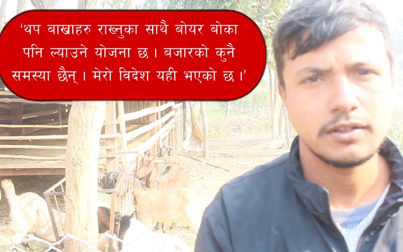 bakra