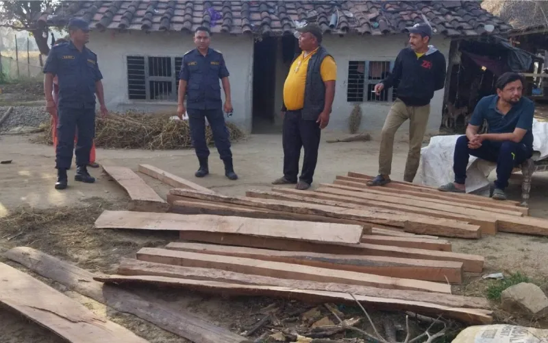 कञ्चनपुरमा अवैध काठ बरामद, एक जना पक्राउ