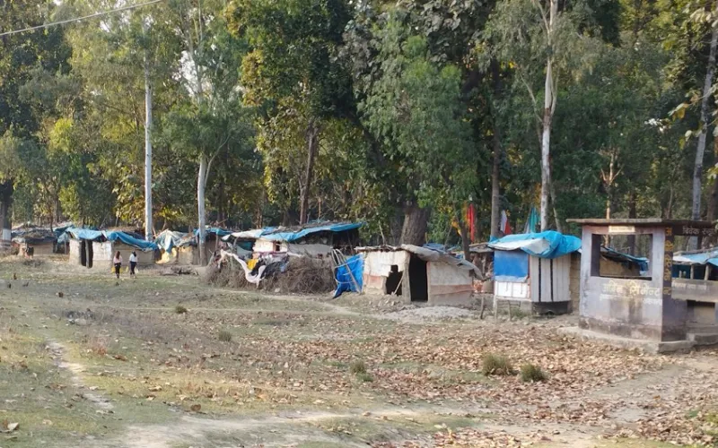 सुदूरपश्चिमा वन मास्दै बस्ती विस्तार, राजनीतिका संरक्षणमा अतिक्रमण