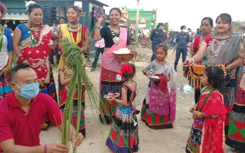 कैलाली, कञ्चनपुरका थारु समुदायमा गुरही पर्वको उल्लास, पालिकामा सार्वजनिक बिदा