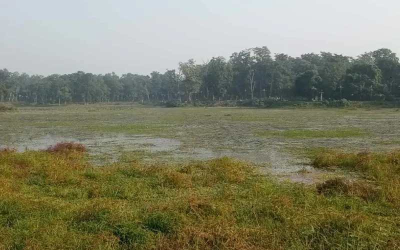 jokhar taal