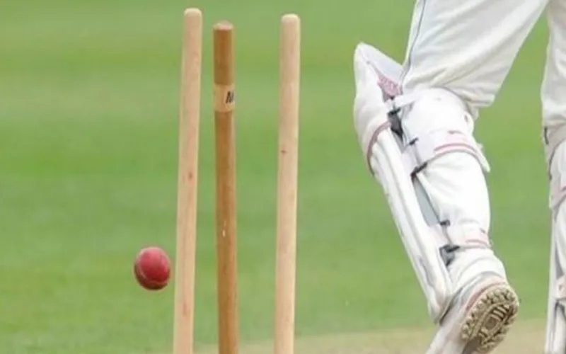 cricket