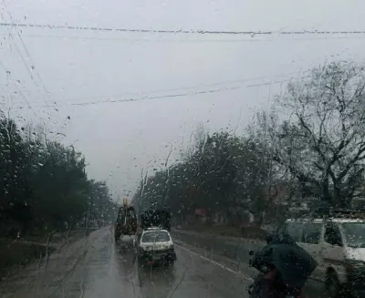 barsa