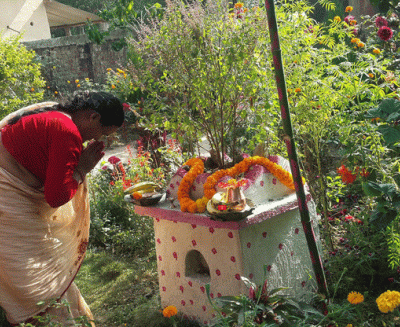 tulsi pooja