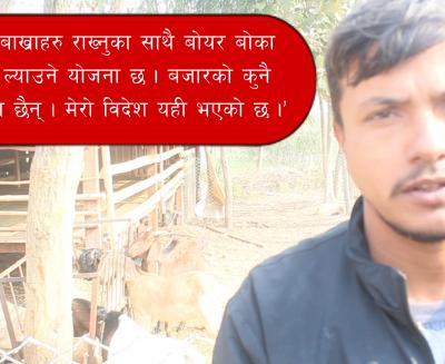 bakra