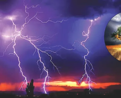 हावाहुरीसँगै परेको चट्याङले बैतडीमा ठूलो क्षति, बाख्रादेखि भैँसीसम्म मरे