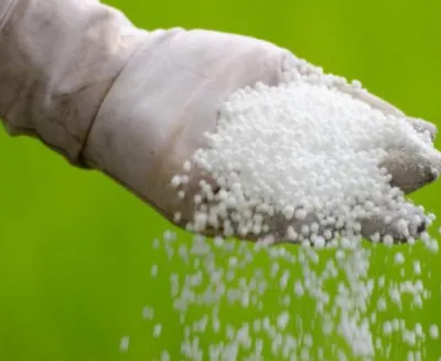 aa